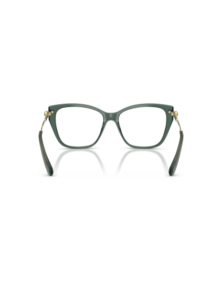 SWAROVSKI - SK2060 - 1043 - 55