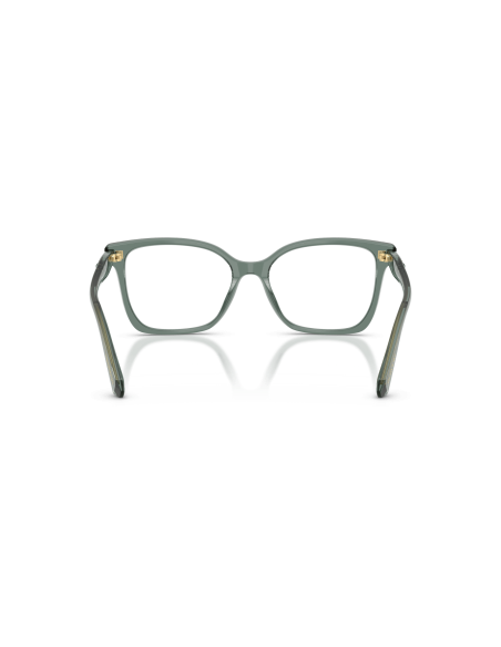 SWAROVSKI - SK2061 - 1043 - 55