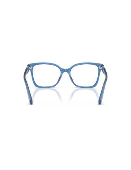 SWAROVSKI - SK2061 - 1100 - 55