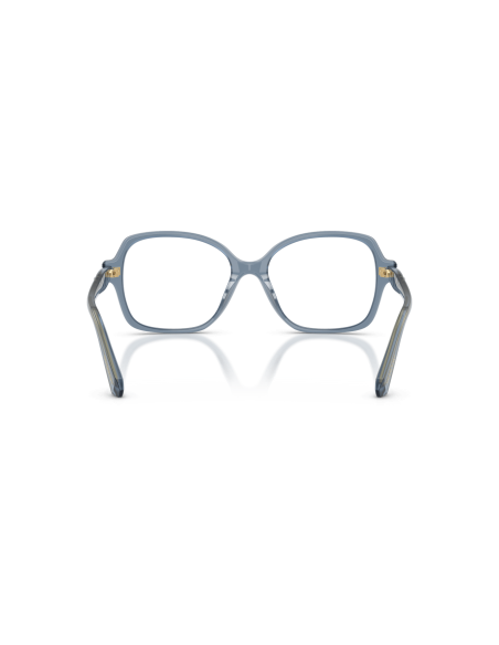 SWAROVSKI - SK2063 - 1102 - 56