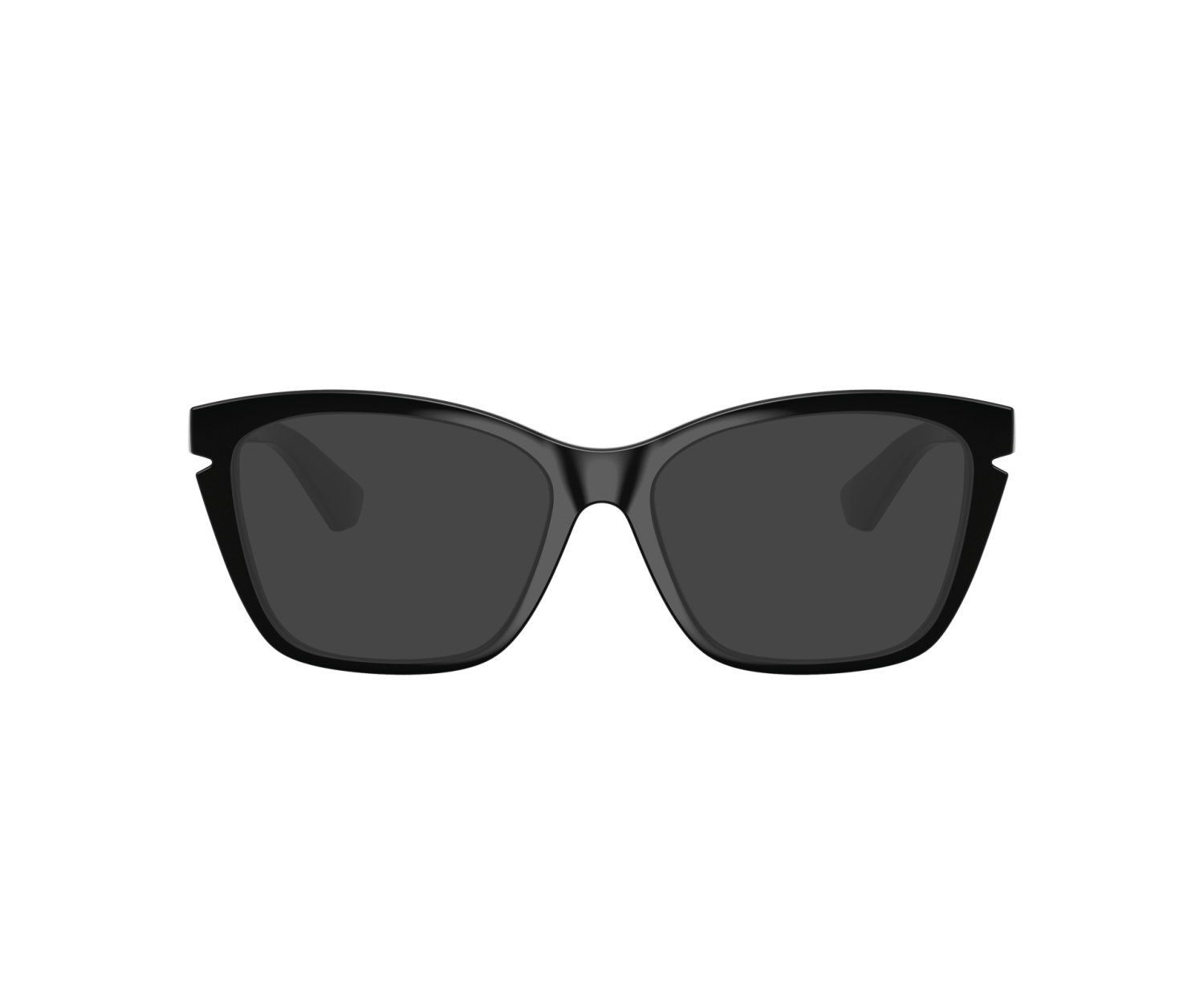 BURBERRY - BE2427U - 3001 - 54