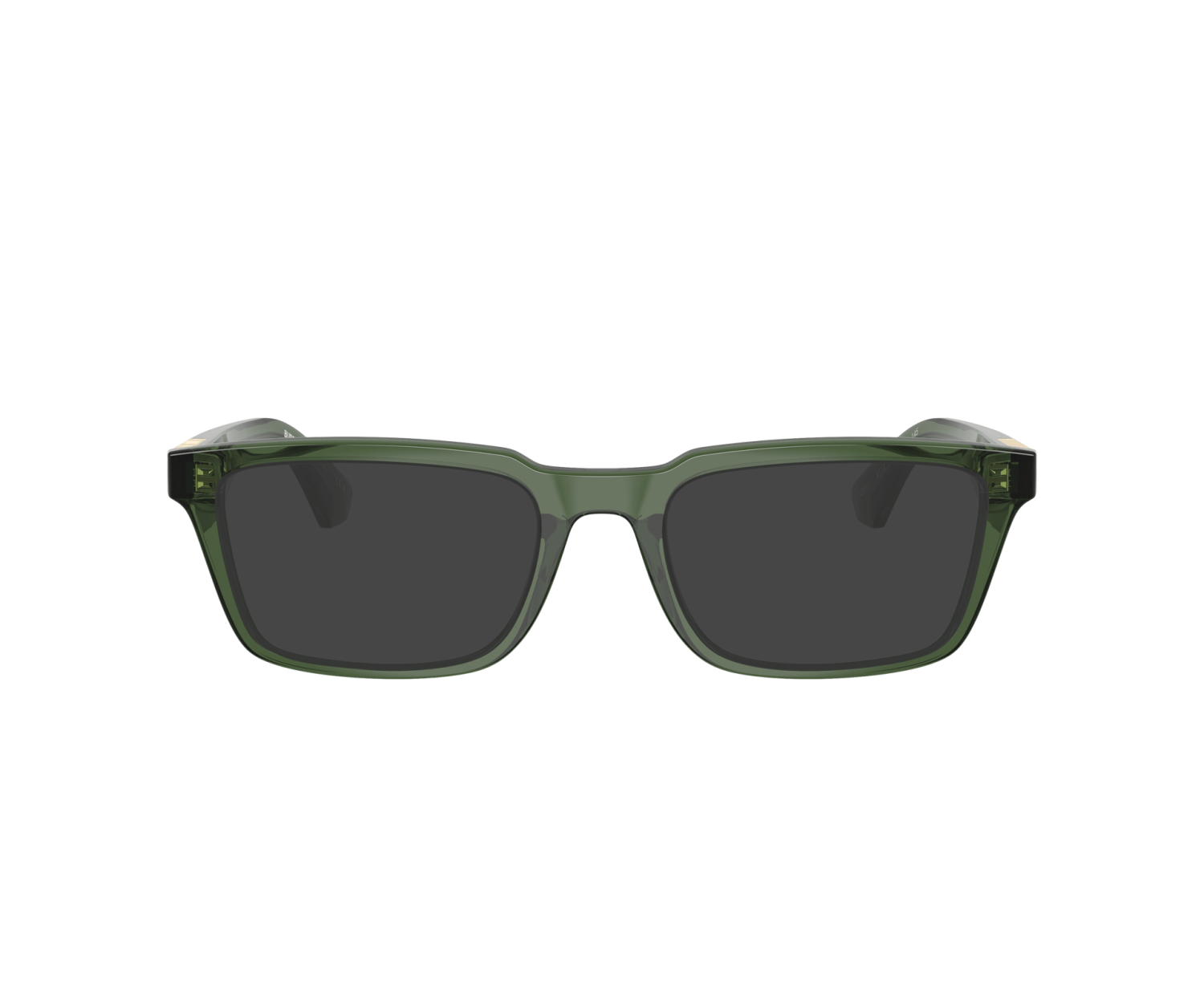 BURBERRY - BE2428U - 4174 - 54