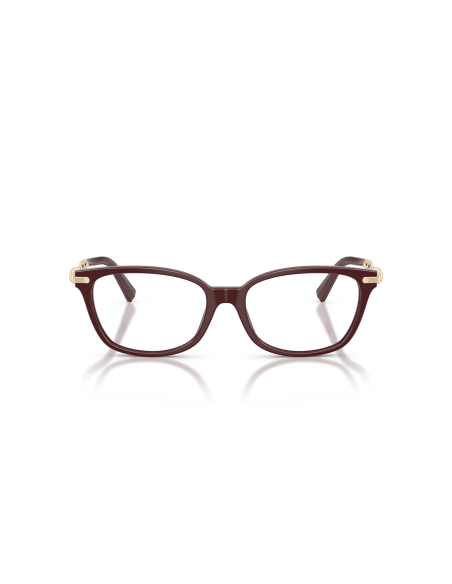 TIFFANY - TF2281 - 8389 - 53