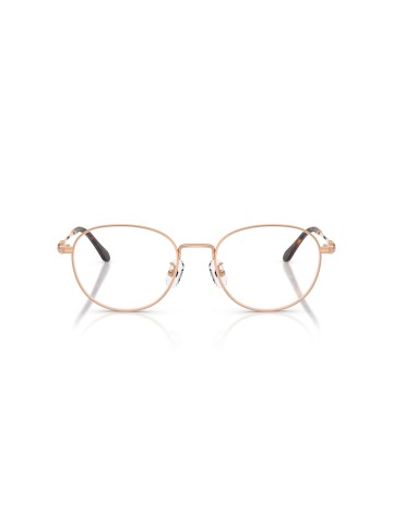 SWAROVSKI - SK1042D - 4014 - 54 2