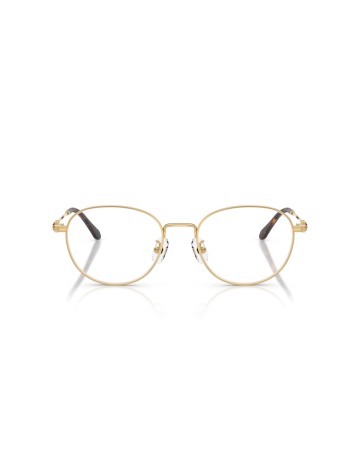 SWAROVSKI - SK1042D - 4037 - 54 2