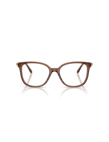 SWAROVSKI - SK2069 - 1067 - 53 2