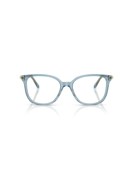 SWAROVSKI - SK2069 - 1108 - 51