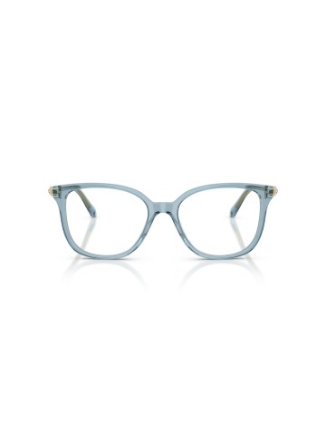 SWAROVSKI - SK2069 - 1108 - 53 2