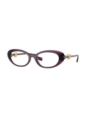 VERSACE - VE3381U - 5536 - 50