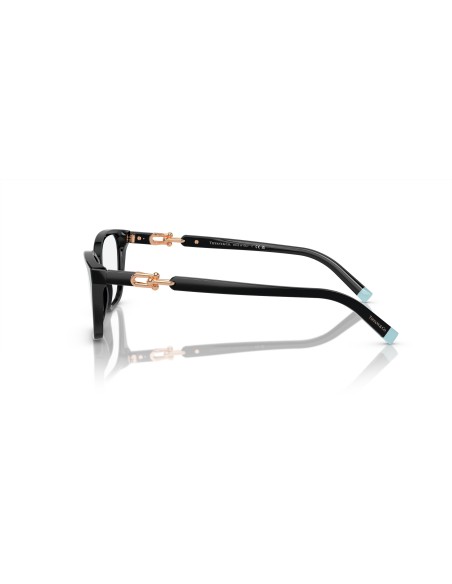 TIFFANY - TF2229 - 8420 - 53