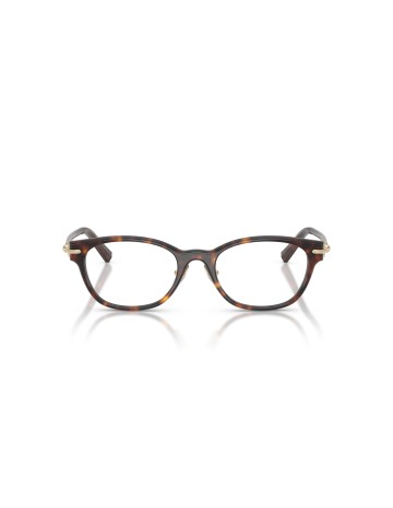 TIFFANY - TF2305D - 8015 - 49 2