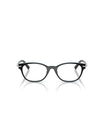 TIFFANY - TF2305D - 8055 - 49 2
