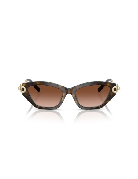 TIFFANY - TF4231U - 81343B - 53