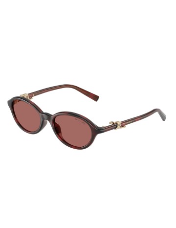 TIFFANY - TF4266U - 847269 - 51