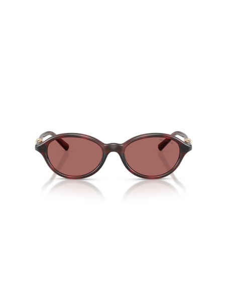 TIFFANY - TF4266U - 847269 - 51