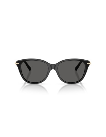 TIFFANY - TF4267 - 8001S4 - 54 2