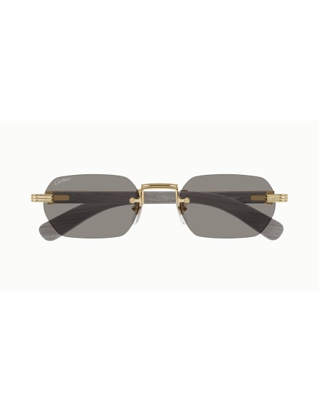 Cartier - CT0362S - 005 - 54