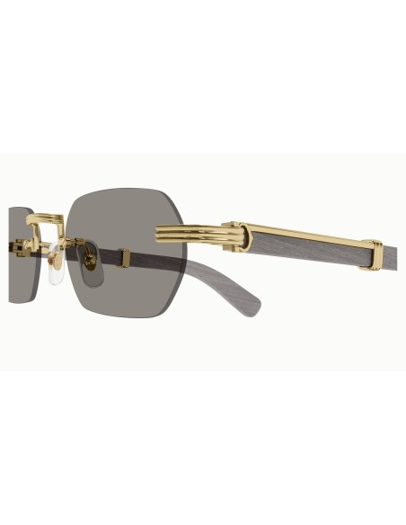 Cartier - CT0362S - 005 - 54