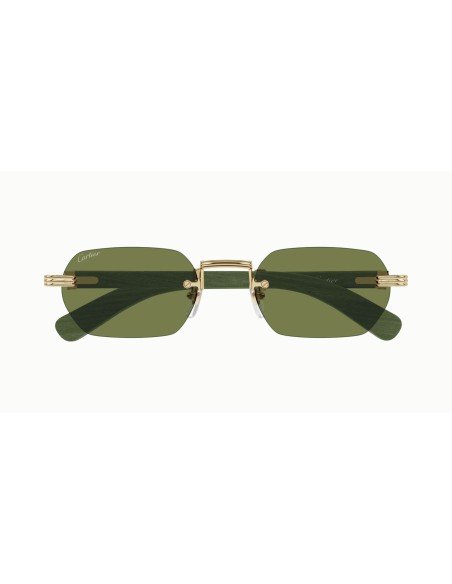 Cartier - CT0362S - 006 - 54