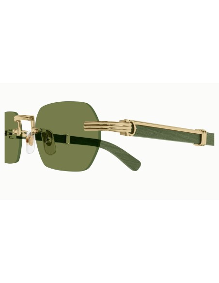 Cartier - CT0362S - 006 - 54