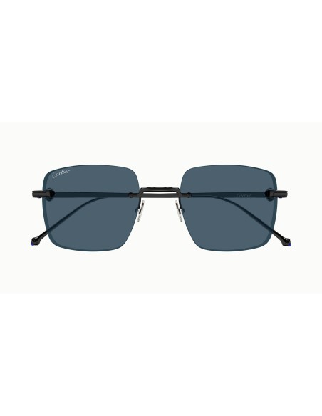 Cartier - CT0403S - 004 - 52