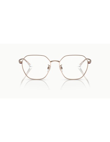 EMPORIO ARMANI - EA1145D - 3011 - 55 2