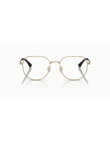 EMPORIO ARMANI - EA1154D - 3002 - 52 2