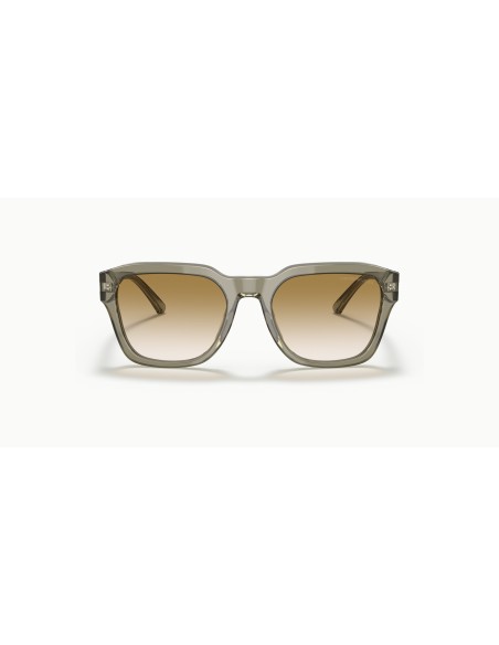 EMPORIO ARMANI - EA4175 - 588413 - 55