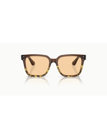 OLIVER PEOPLES - PARCELL - OV5502U - 1756 - 53 2
