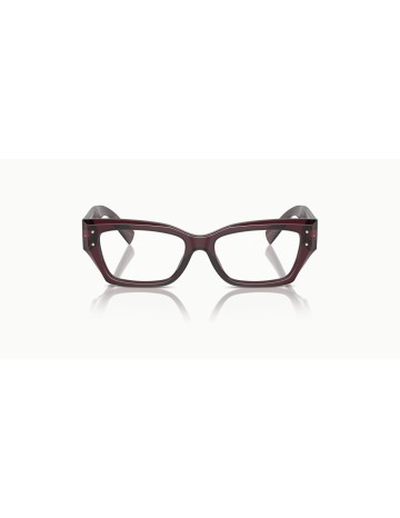 DOLCE & GABBANA - DG3387 - 3045 - 53 2