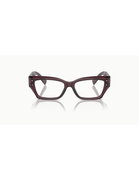 DOLCE & GABBANA - DG3387 - 3045 - 53