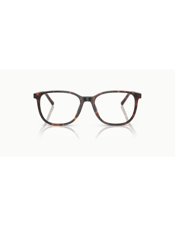 DOLCE & GABBANA - DG3426 - 502 - 53 2