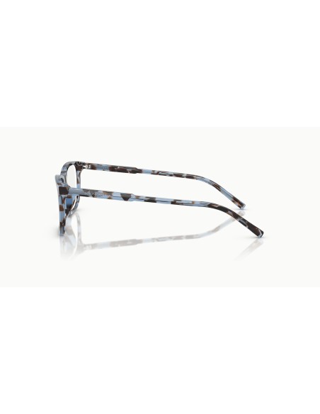 DOLCE & GABBANA - DG3427 - 3392 - 55