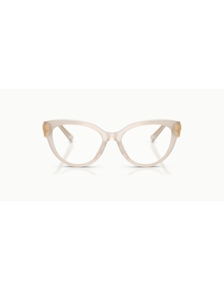 DOLCE & GABBANA - DG3440 - 3420 - 54