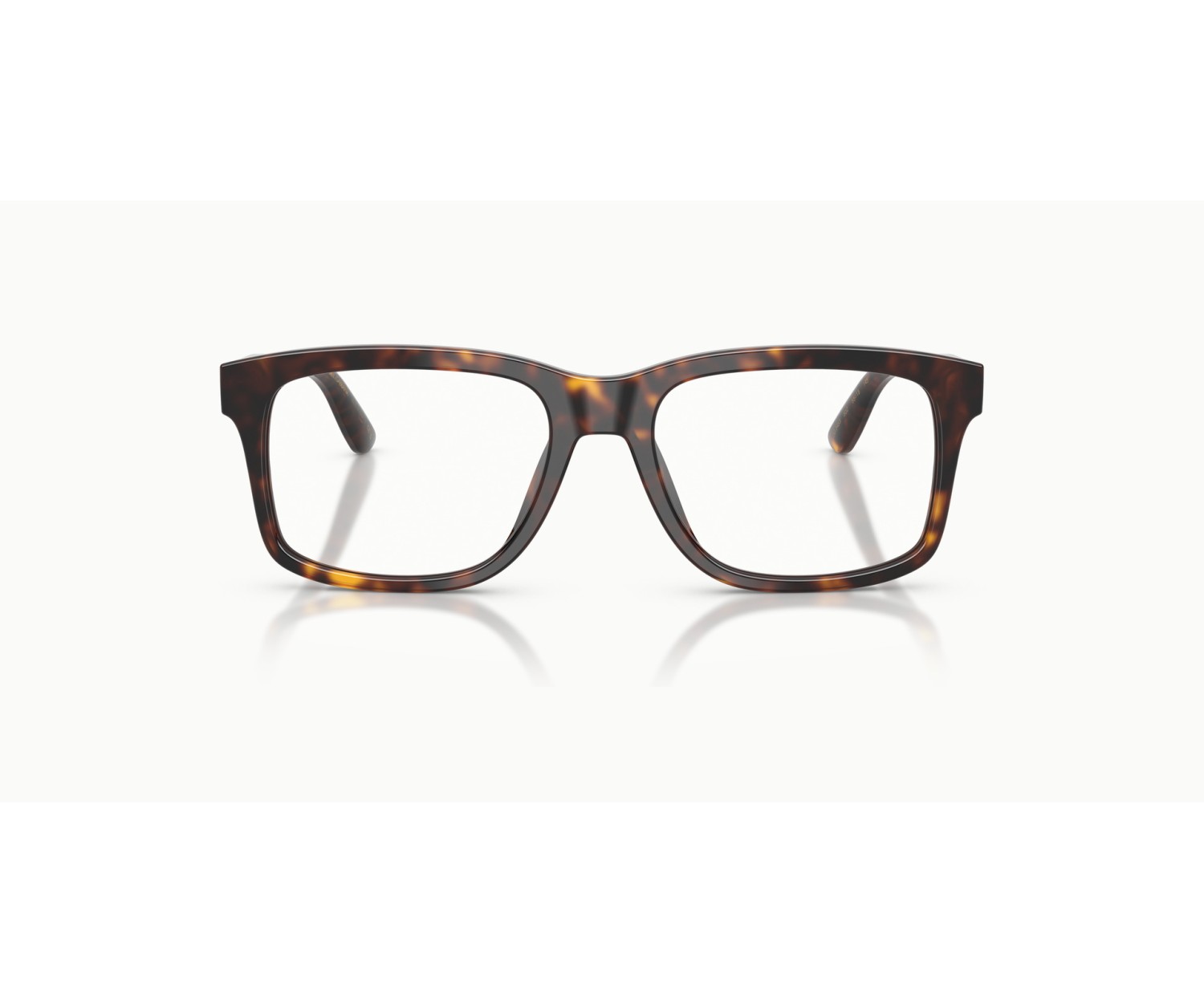 DOLCE & GABBANA - DG3453 - 502 - 53