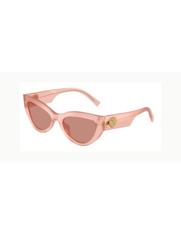 DOLCE & GABBANA - DG4536 - 338496 - 55