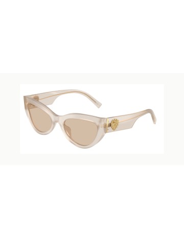 DOLCE & GABBANA - DG4536 - 342093 - 55