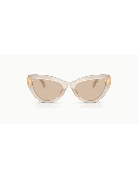 DOLCE & GABBANA - DG4536 - 342093 - 55