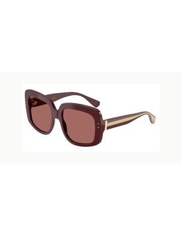 DOLCE & GABBANA - DG4557 - 309169 - 55