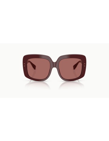 DOLCE & GABBANA - DG4557 - 309169 - 55 2