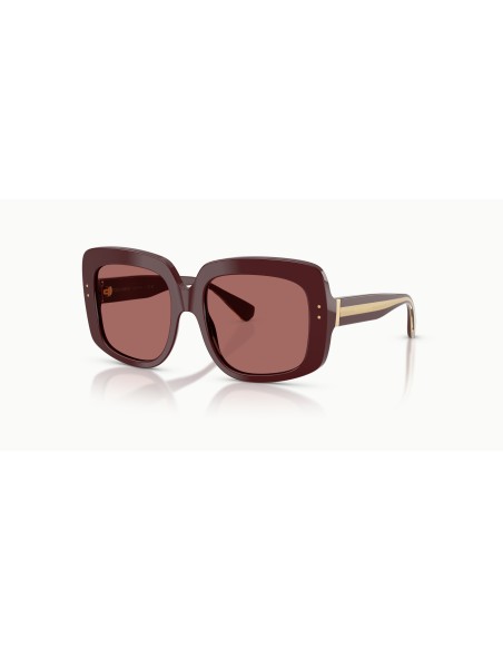 DOLCE & GABBANA - DG4557 - 309169 - 55