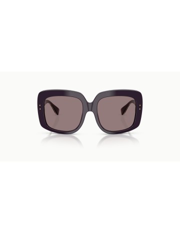 DOLCE & GABBANA - DG4557 - 35017N - 55 2