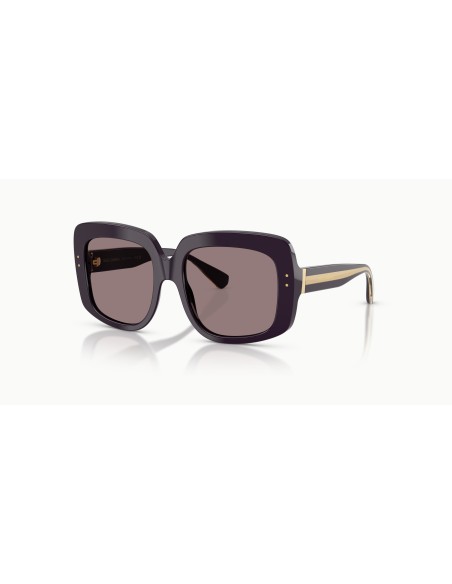 DOLCE & GABBANA - DG4557 - 35017N - 55