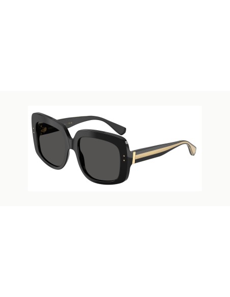 DOLCE & GABBANA - DG4557 - 501/87 - 55