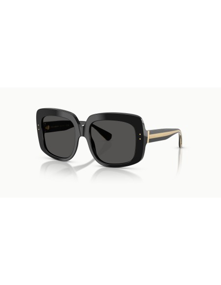 DOLCE & GABBANA - DG4557 - 501/87 - 55