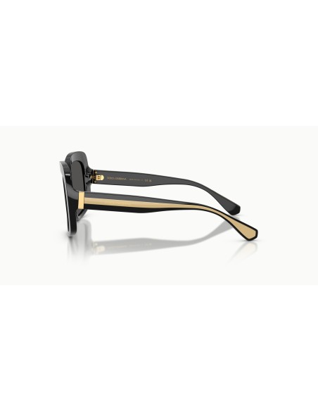 DOLCE & GABBANA - DG4557 - 501/87 - 55