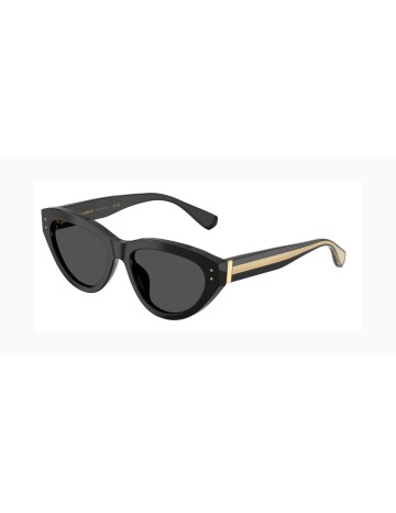 DOLCE & GABBANA - DG4558 - 501/87 - 54