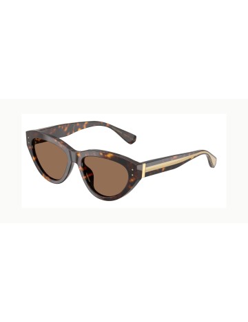 DOLCE & GABBANA - DG4558 - 502/73 - 54