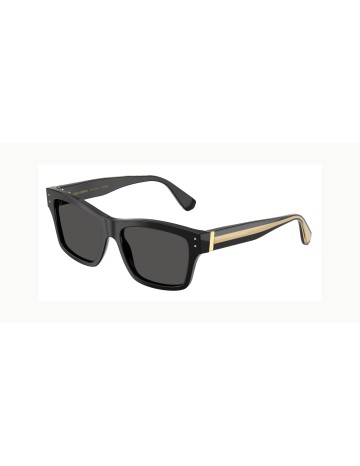 DOLCE & GABBANA - DG4559 - 501/87 - 55