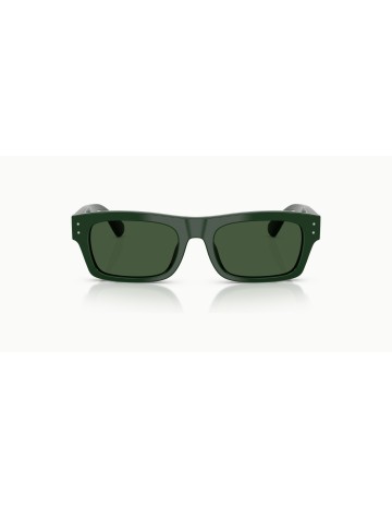 DOLCE & GABBANA - DG4560 - 331182 - 54 2